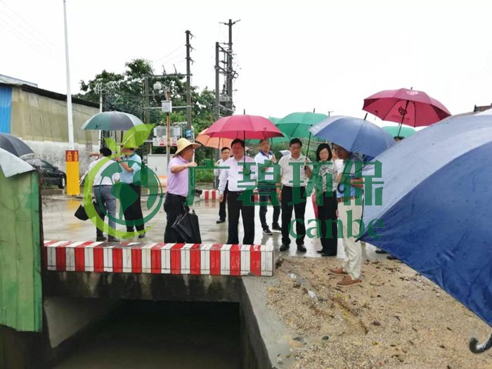佛山推進(jìn)水污染防治問題整改，虛假整改將被問責(zé)！(圖2)