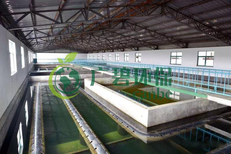 什么是制糖廢水？制糖廢水處理技術(shù)(圖1)