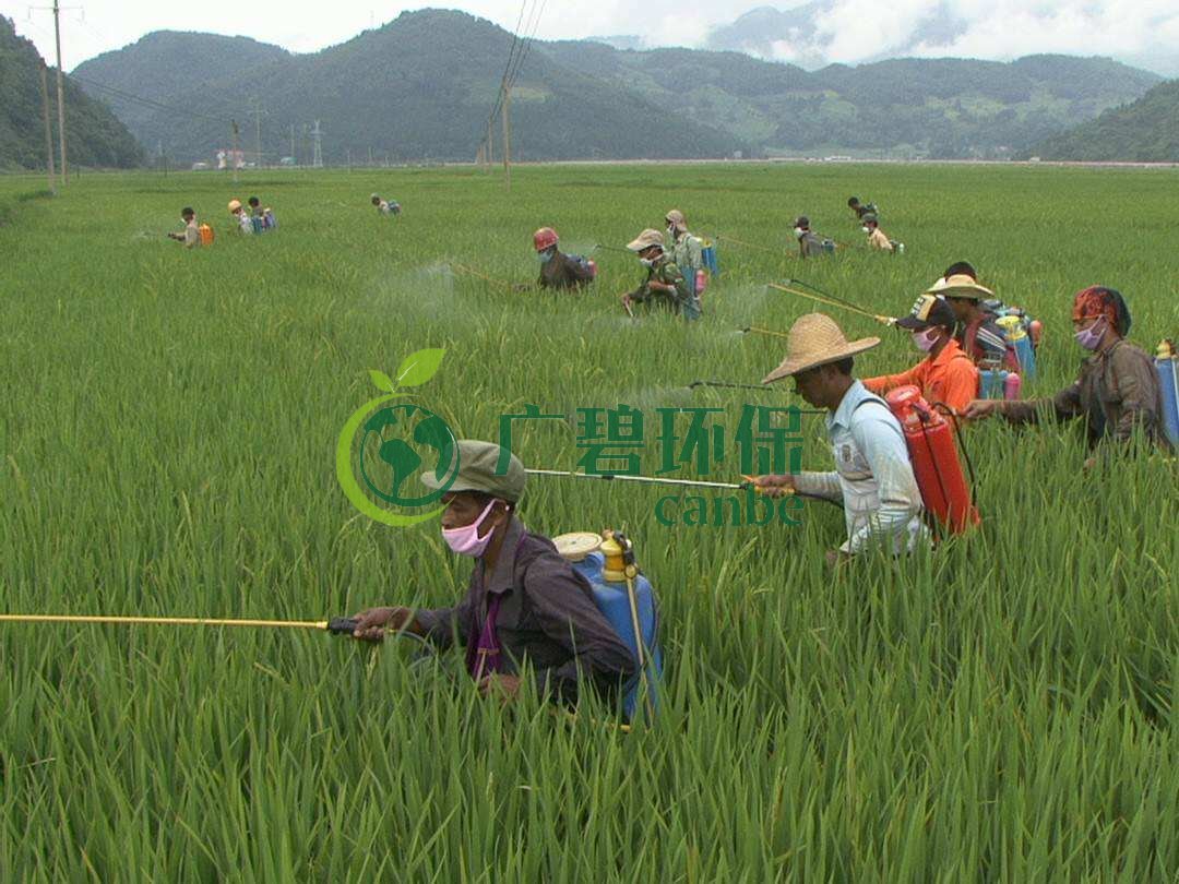 農(nóng)藥廢水是什么？農(nóng)藥廢水特點(diǎn)與處理工藝(圖1)