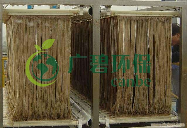 MBR污泥膨脹怎么處理？污泥膨脹的處理方法(圖1)
