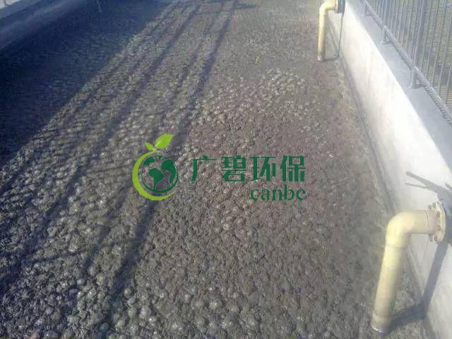污泥發(fā)黑是什么原因造成？污泥發(fā)黑經(jīng)驗分享(圖1)