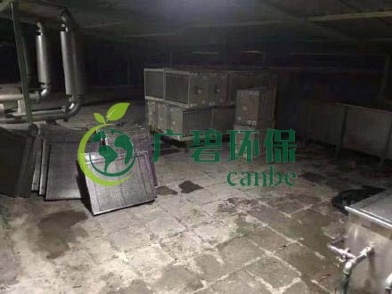 廣州旺旺食品廢水直排，永和河大量魚(yú)類死亡(圖3)