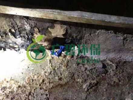廣州旺旺食品廢水直排，永和河大量魚(yú)類死亡(圖4)