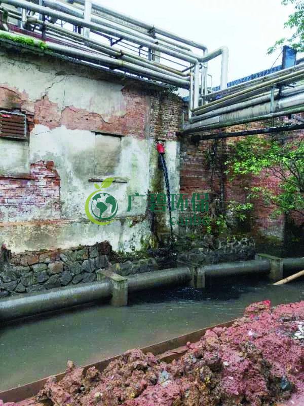 廣州海珠有污水直排河涌，3名涉案人員被行政拘留(圖1)