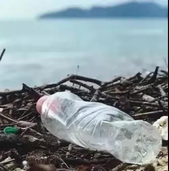 世界地球日|珍愛(ài)地球，人與自然和諧共生(圖8)