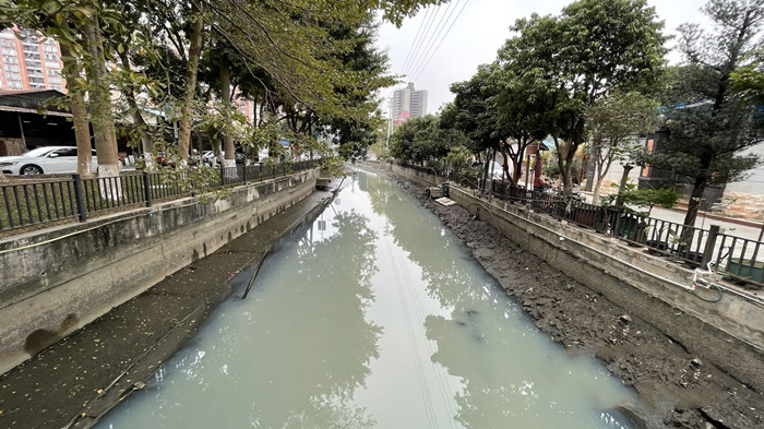 順德大良石洛涌、八坊涌整治見成效(圖3)